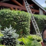 A tall ladder is leaning up against the front of a 3 story home. The ladder is towering over and through the garden in the front yard of the house.